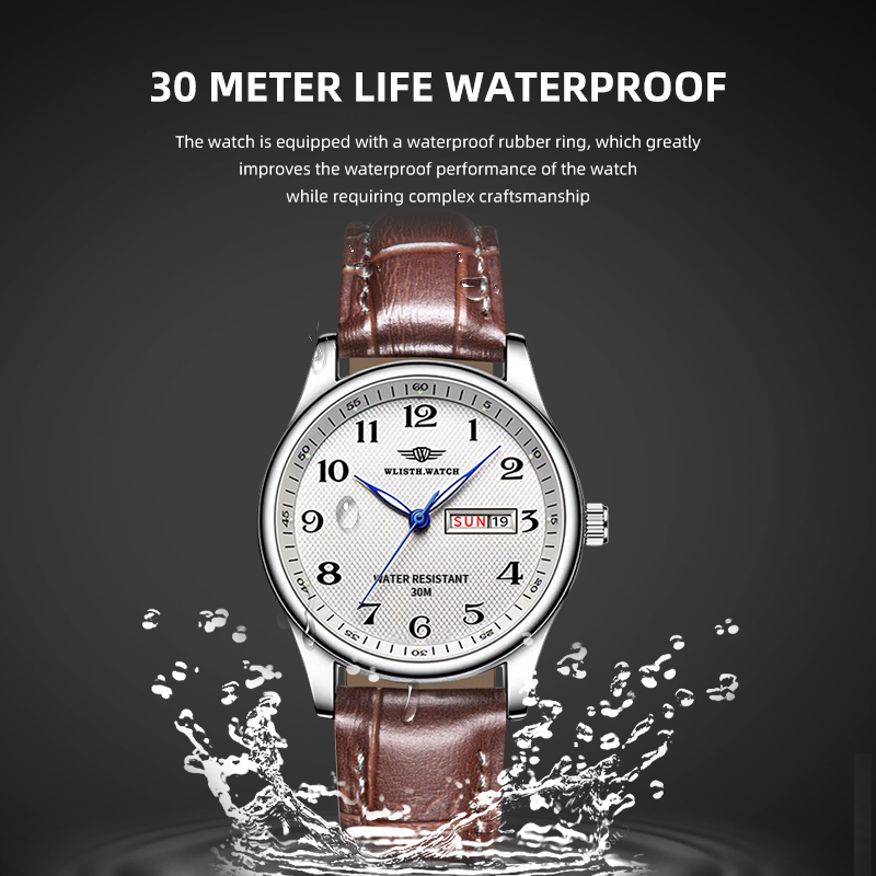 WLISTH Luxury Brand Men's Watc - Zen Luxury Watch 评论和价格