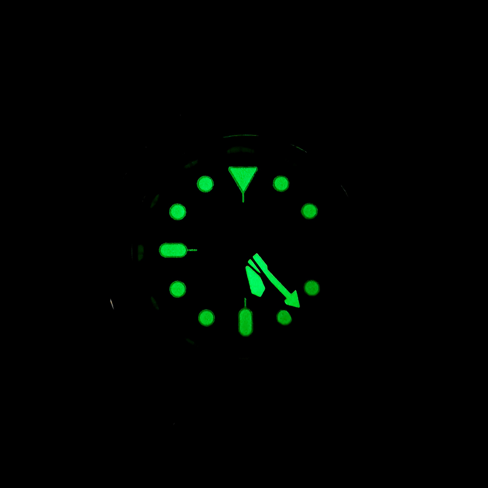 New Abalone Diving Men's Mecha - Luxury Watch Display Case 评论和价格